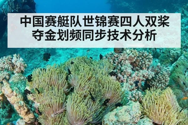 中国赛艇队世锦赛四人双桨夺金划频同步技术分析 | j9 game