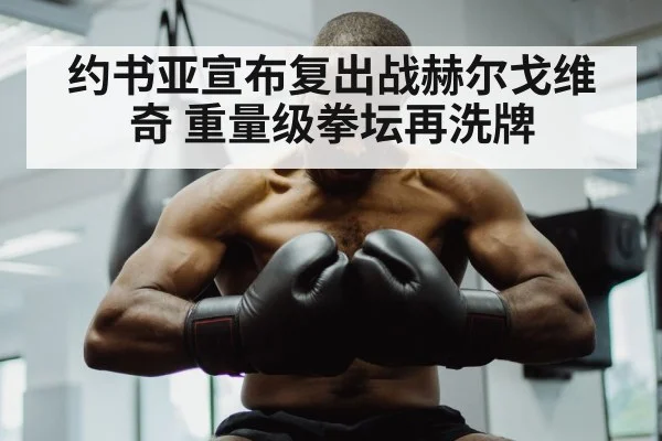 约书亚宣布复出战赫尔戈维奇 重量级拳坛再洗牌 | j9 game