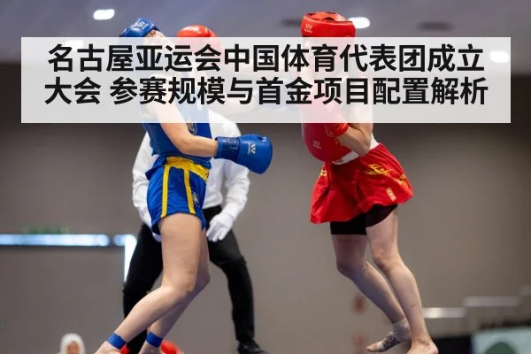 wushu martial arts competition