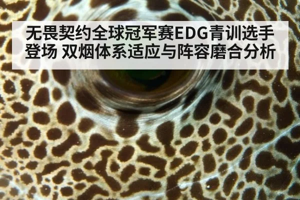 无畏契约全球冠军赛EDG青训选手登场 双烟体系适应与阵容磨合分析
